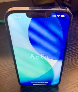 Apple iPhone 13 Pro Max