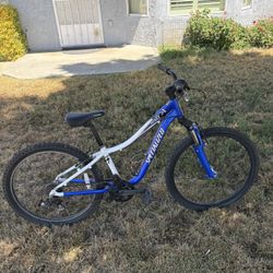 Hot Rock Specialized 24