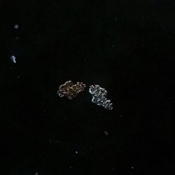 Gold nuggets earrings