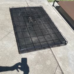 Large Dog Kennel