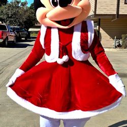 Mrs Mouse Costume Mascot For Sale