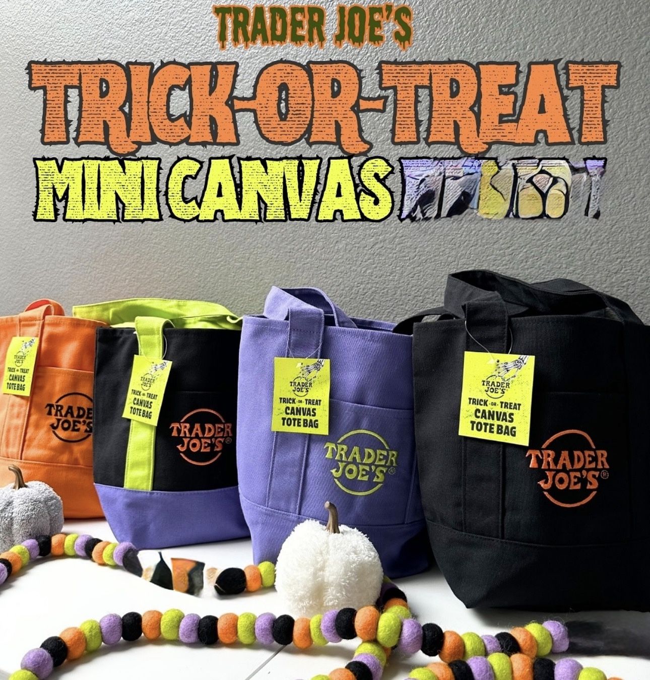 Trader Joes Mini Tote Bag ππ§‘π€π