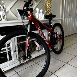 Specialized MTB 29” small