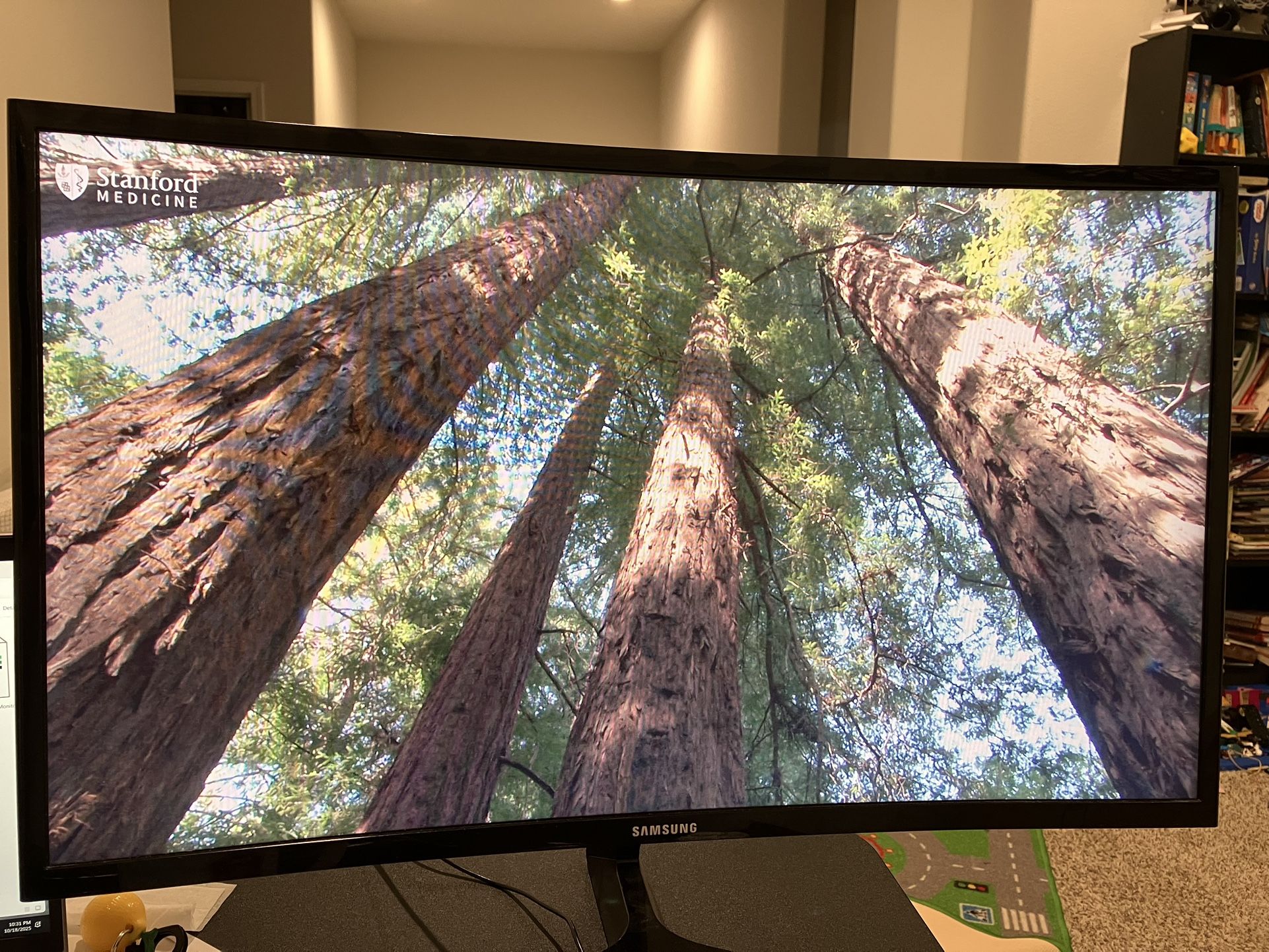 Samsung Curved Monitor