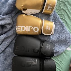 Training Boxing Gloves 