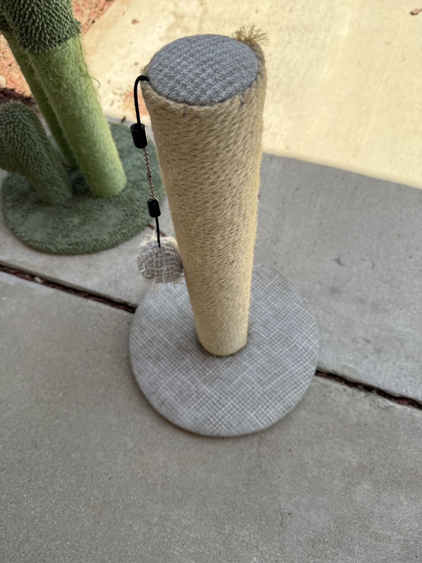 cat scratcher