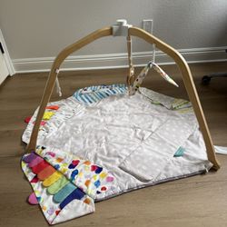 Baby Play Gym