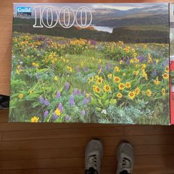 Two 1000 Piece Puzzles