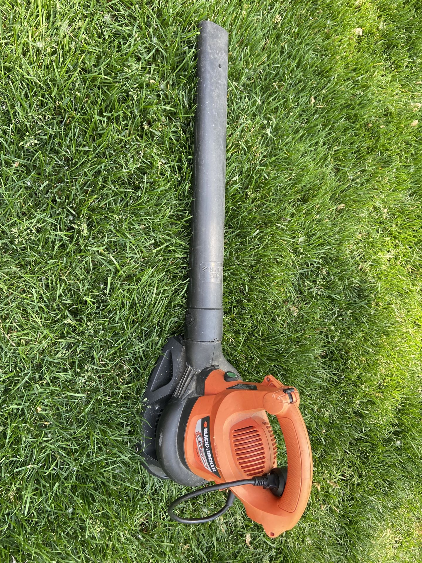 Electric Leaf Blower