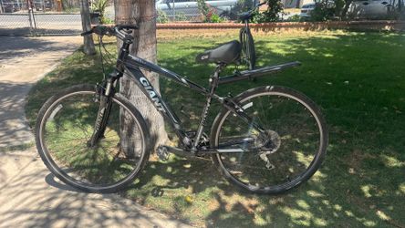 Giant Bike