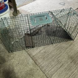 Animal Trap
