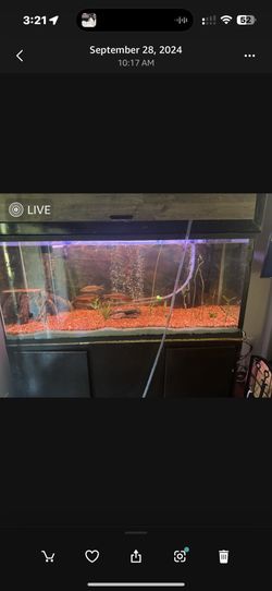 230 Gallon Fish Tank With Stand And Canopy