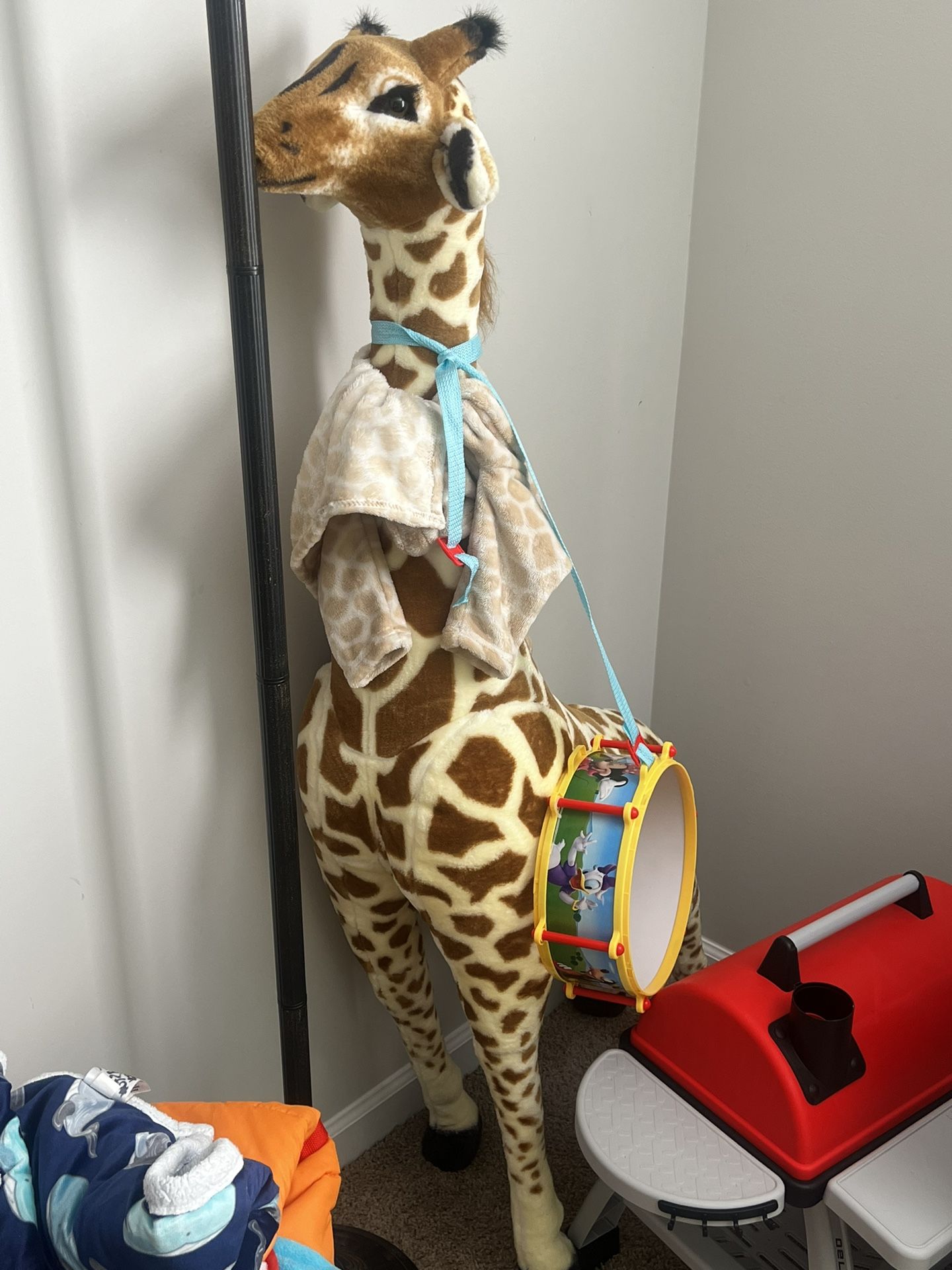 Giraffe For Sale