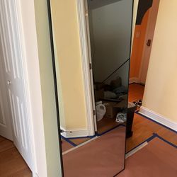 NeuType Full Length Mirror 71''x31'' Aluminum Alloy Thin Frame Wall Mirror Dressing Mirror Hanging