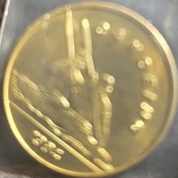 1984 Los Angeles Olympic Games Token Canoeing 