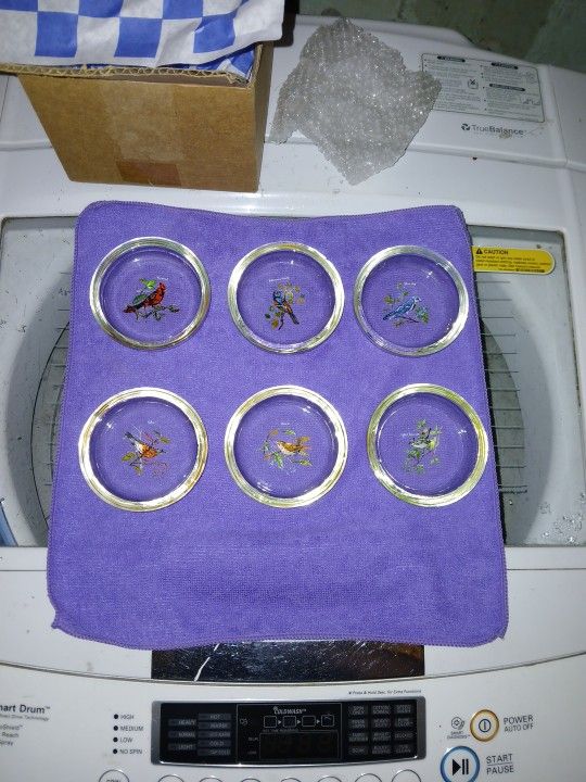 Hand Painted Bird Glass Coasters 