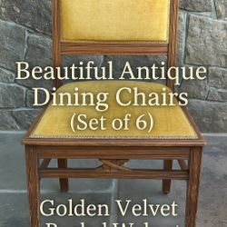 Set of 6 Beautiful Antique Walnut Dining Chairs w/ Casters & Velvet