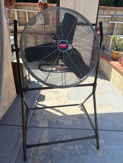 Fan