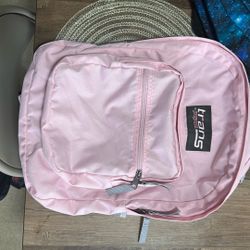 Jan-sport Trans  Backpack Pink