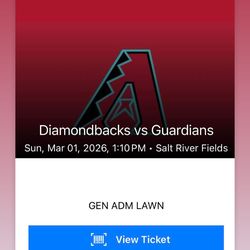 Diamondbacks Spring Training Sunday March 1st