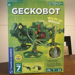 STEM geckobot 