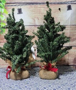 Pair of Ashland 16" Mini Christmas Accent Trees – Burlap Base
