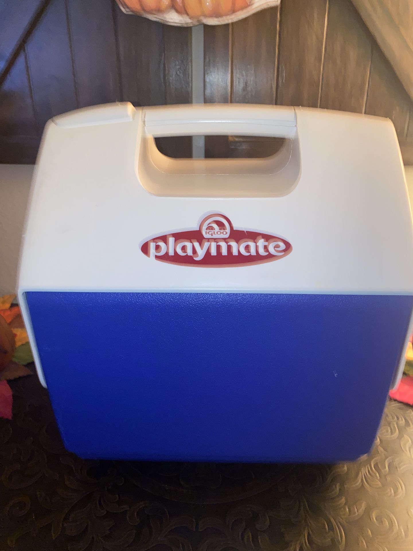 Playmate Cooler Blue & White