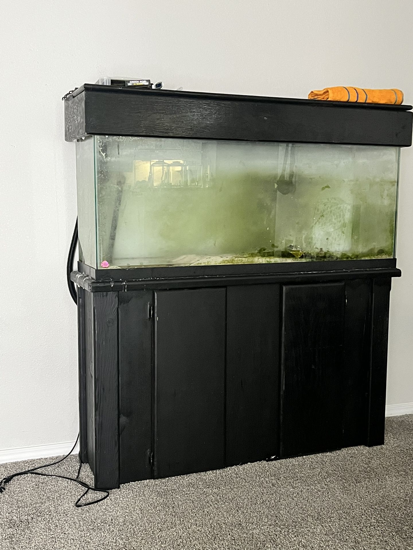 55 Gallon Tank
