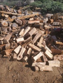 Firewood