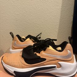 GIANNIS ZOOM FREAK 3 TB SIZE 8 IN MEN