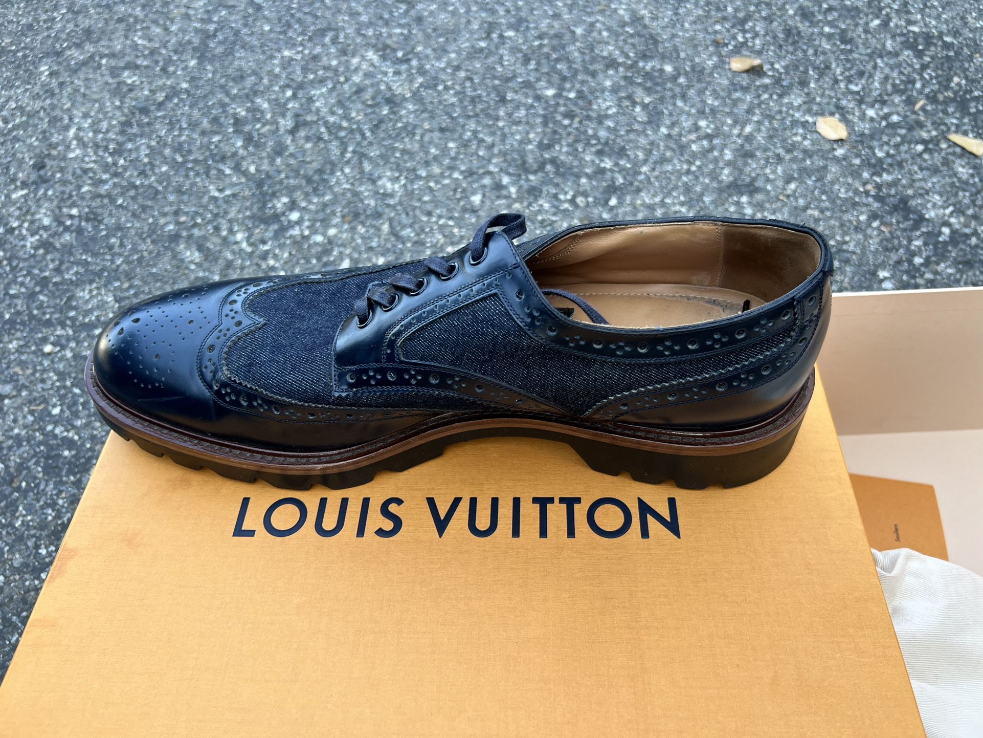 Louis Vuitton Men’s Shoes