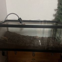 Aquarium/ Reptile Tank 