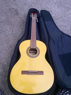 Laurel Canyon acoustic guitar bag and accessories
