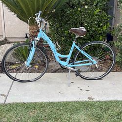 Trek Women’s Cruiser Bike Needs Work 
