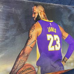 3 Ft By 2 Lebron James poster.. No frame