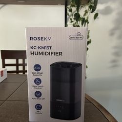 Humidifier 