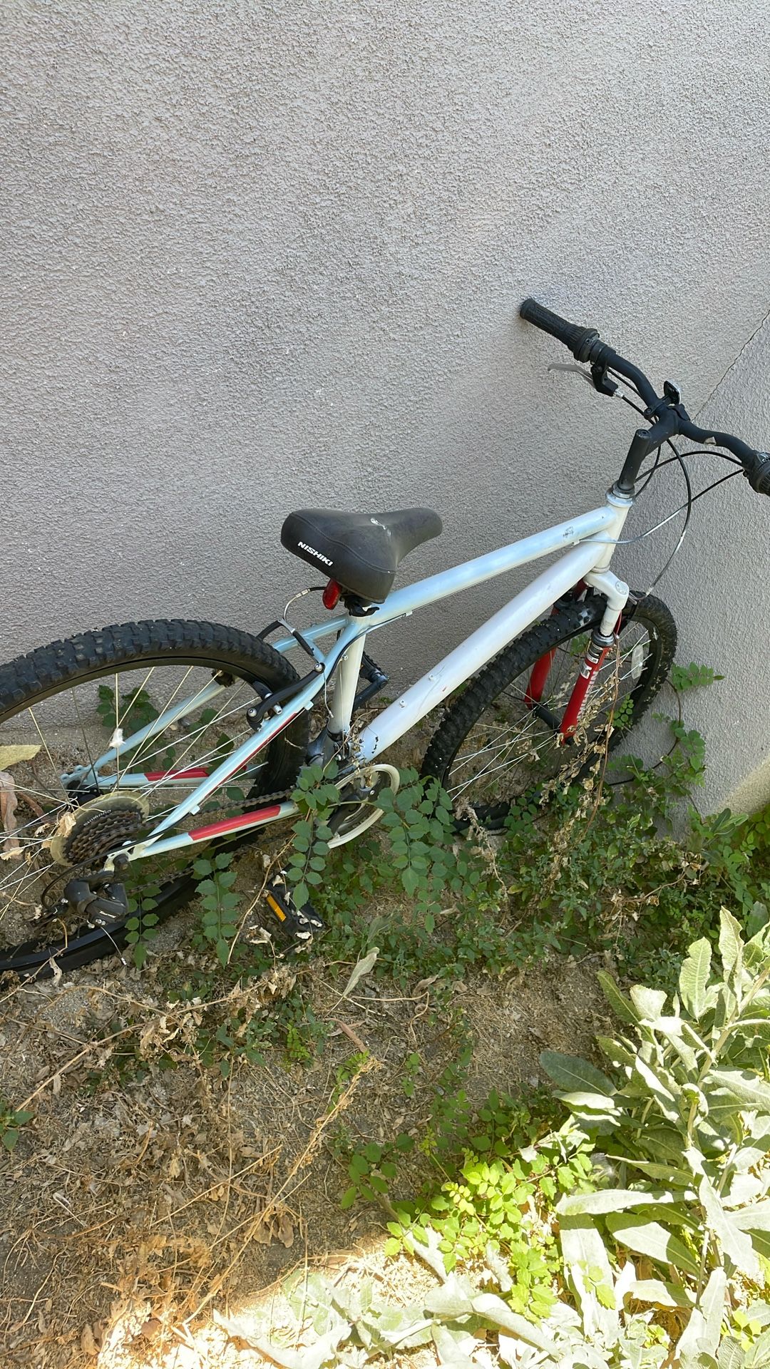 Bike Frame  With Chains