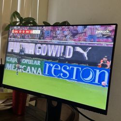 Computer monitor Dell 