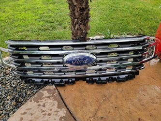2020 expedition Grill assembly