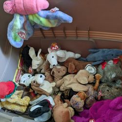 Beanie Babies Plus