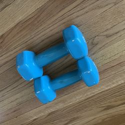 Pair of 9 lbs dumbbell dumbbells - x2 9lbs (~ 10lbs 10 lbs)