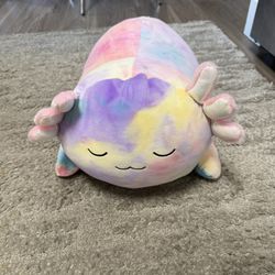 Stuffed Animal 
