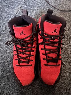 Retro Reverse Flu Game Jordan 12
