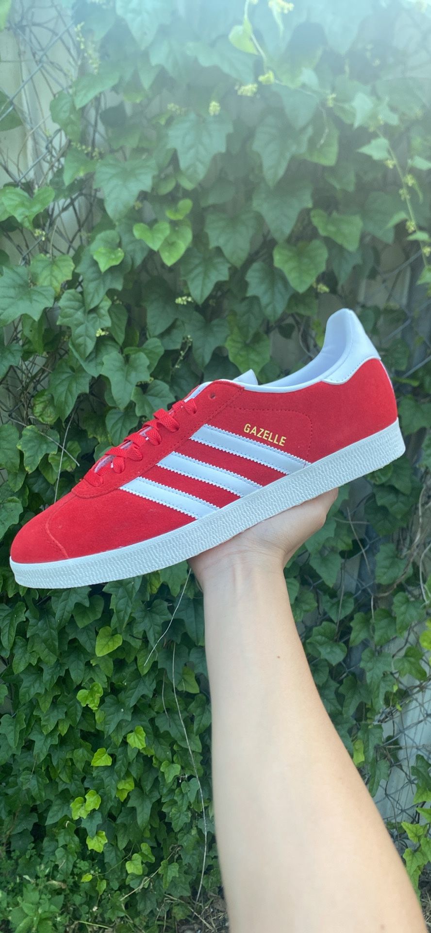 Adidas Gazelle Scarlet White