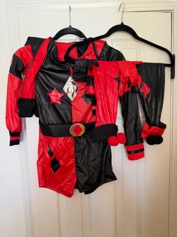 DC Harley Quinn Costume