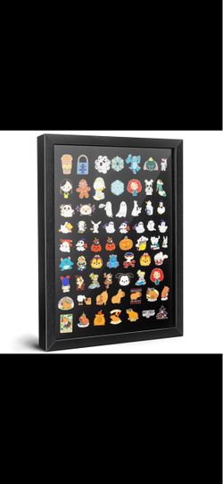 Pin display case