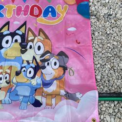 Bluey Girl Party Supplies Birthday