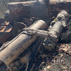Free wood You haul