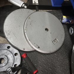 100 Lbs Standard Weight 