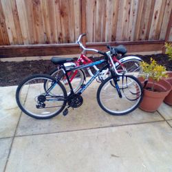 Beach Cruiser Bike Swinger Please Roadmaster Bike Blue Also A Swing